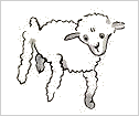 sheep-3
